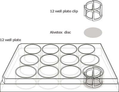 Polystyrene 12 Well Plates For 3d Culture Alvetex Scaffold