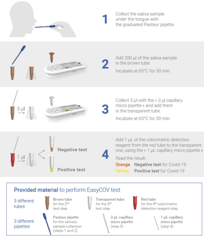 Covid 19 Easycov Rapid Saliva Test Kyvobio